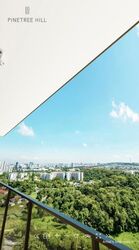 Pine Grove (D21), Condominium #591676831